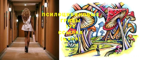 2c-b Липки