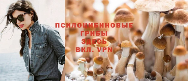 2c-b Липки